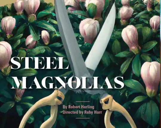 card-image-steelmagnolias-540x430.webp