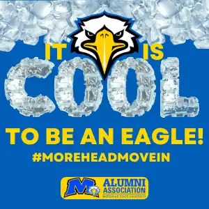 Text saying It's Cool To Be An Eagle with icy font