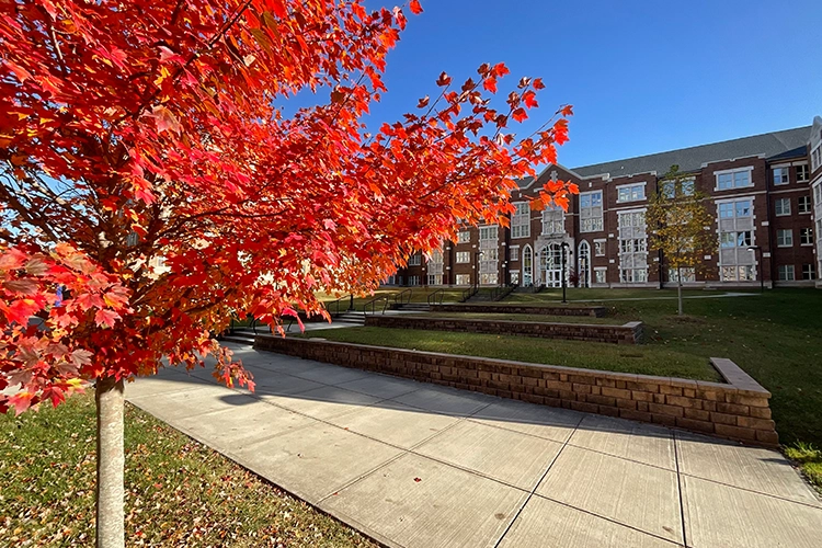 Fall Leaves Outside of Andrews Hall