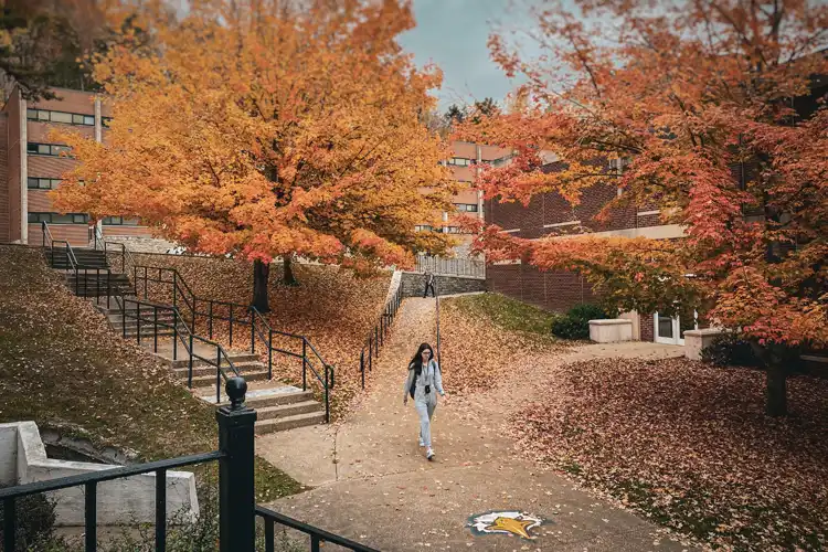 student walking on campus with trees with orange and red leaves