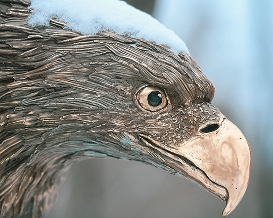 thumbnail-news-eagle-statue-head-winter-540x430.webp