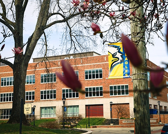 thumbnail-news-spring-eagle-banner-540x430.webp