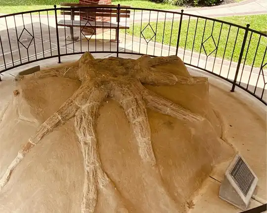 O’Keefe named chair of Engineering Sciences